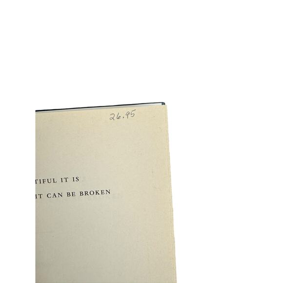 How Beautiful It Is and How Easily It Can Be Broken by Daniel Men... (Hardcover) - Picture 9 of 11